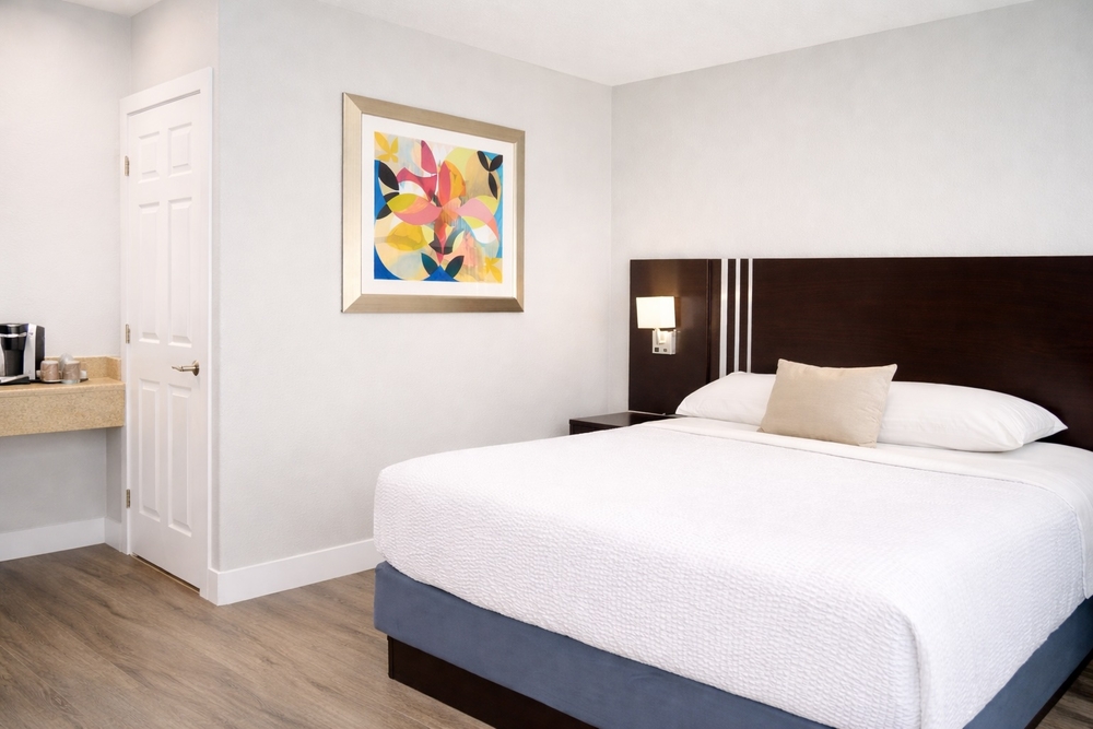 Accessible King Bed